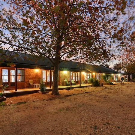 The Vineyard Motel Каура Екстер'єр фото