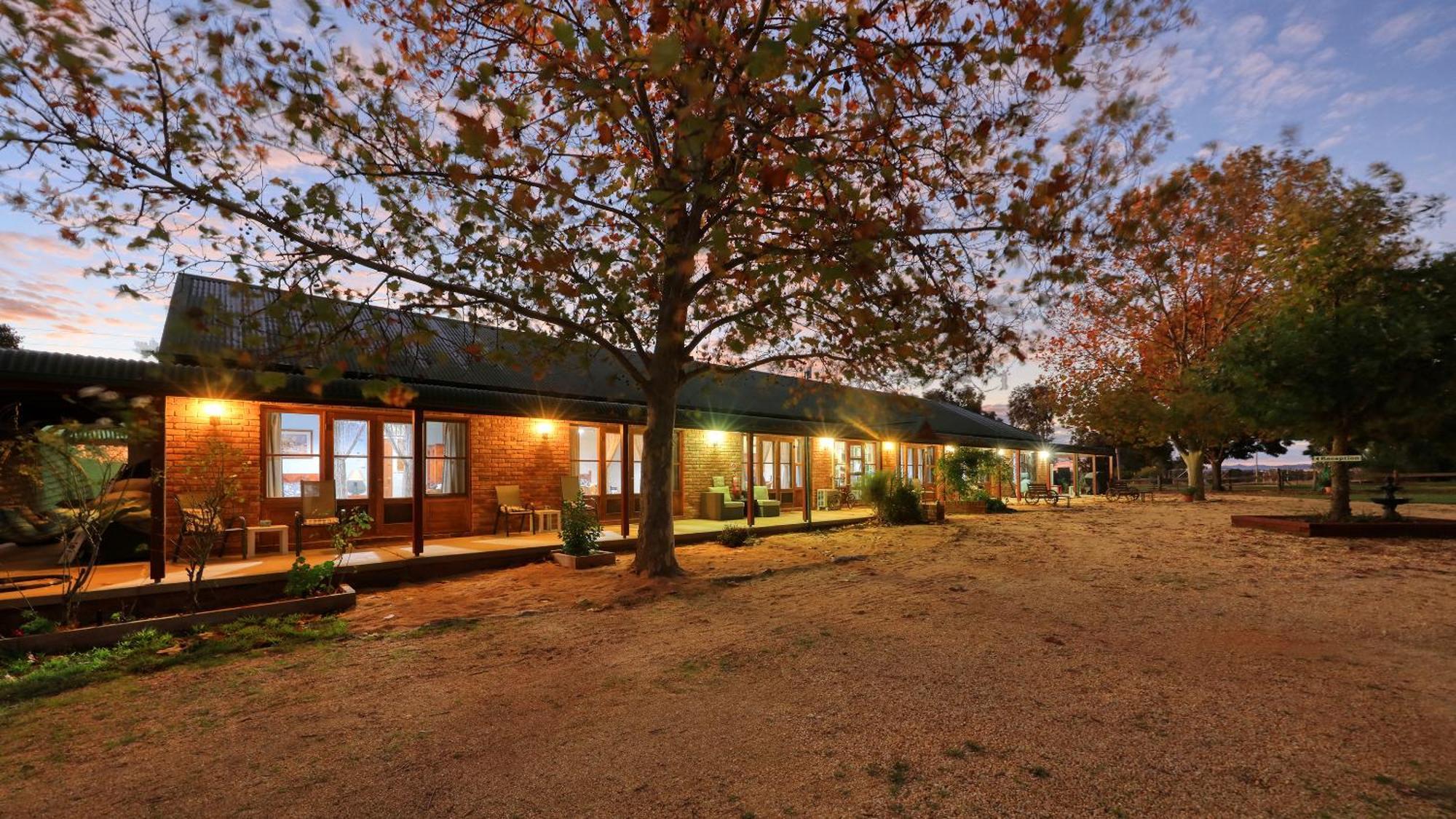 The Vineyard Motel Каура Екстер'єр фото