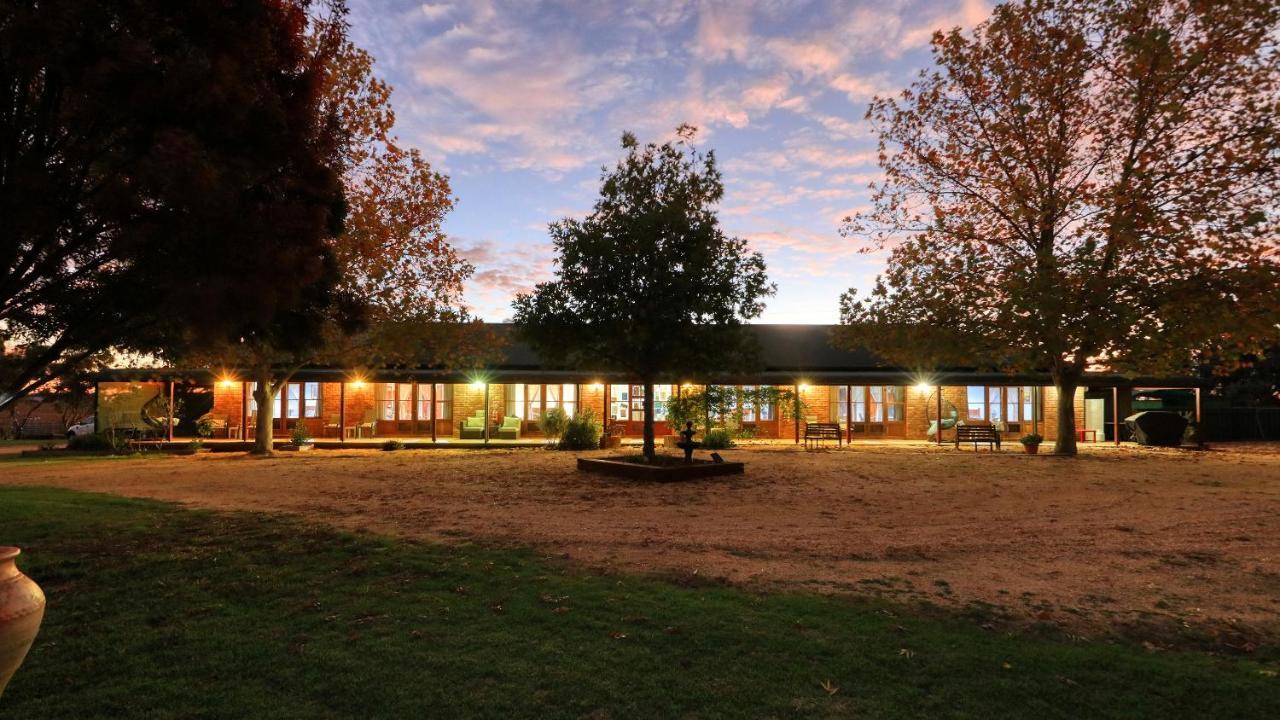 The Vineyard Motel Каура Екстер'єр фото