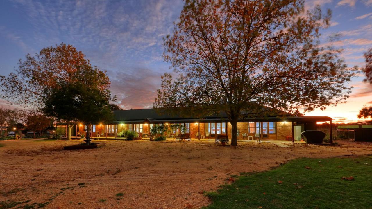 The Vineyard Motel Каура Екстер'єр фото