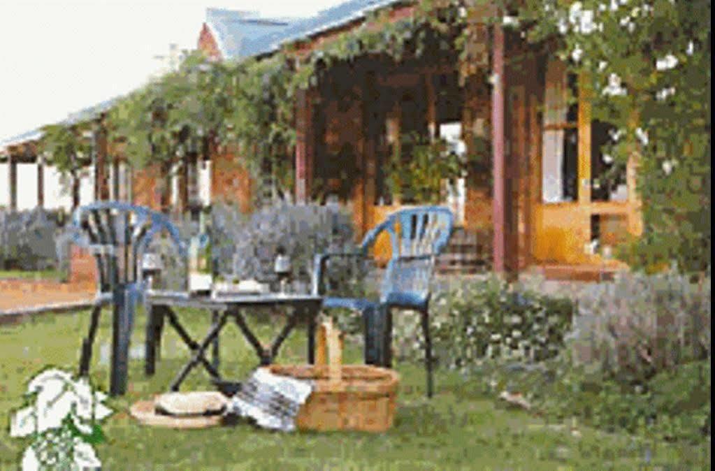 The Vineyard Motel Каура Екстер'єр фото